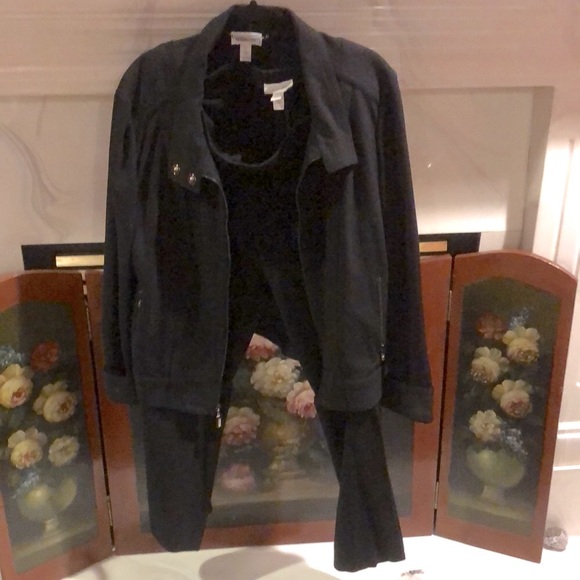 St. John Sport pantsuit.  Zip up Jacket and elastic waist bottoms.  Sz XL - Picture 1 of 7